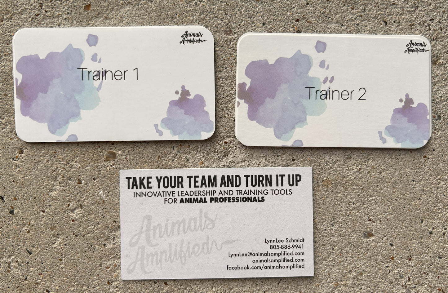 Animals Amplified Training Game
