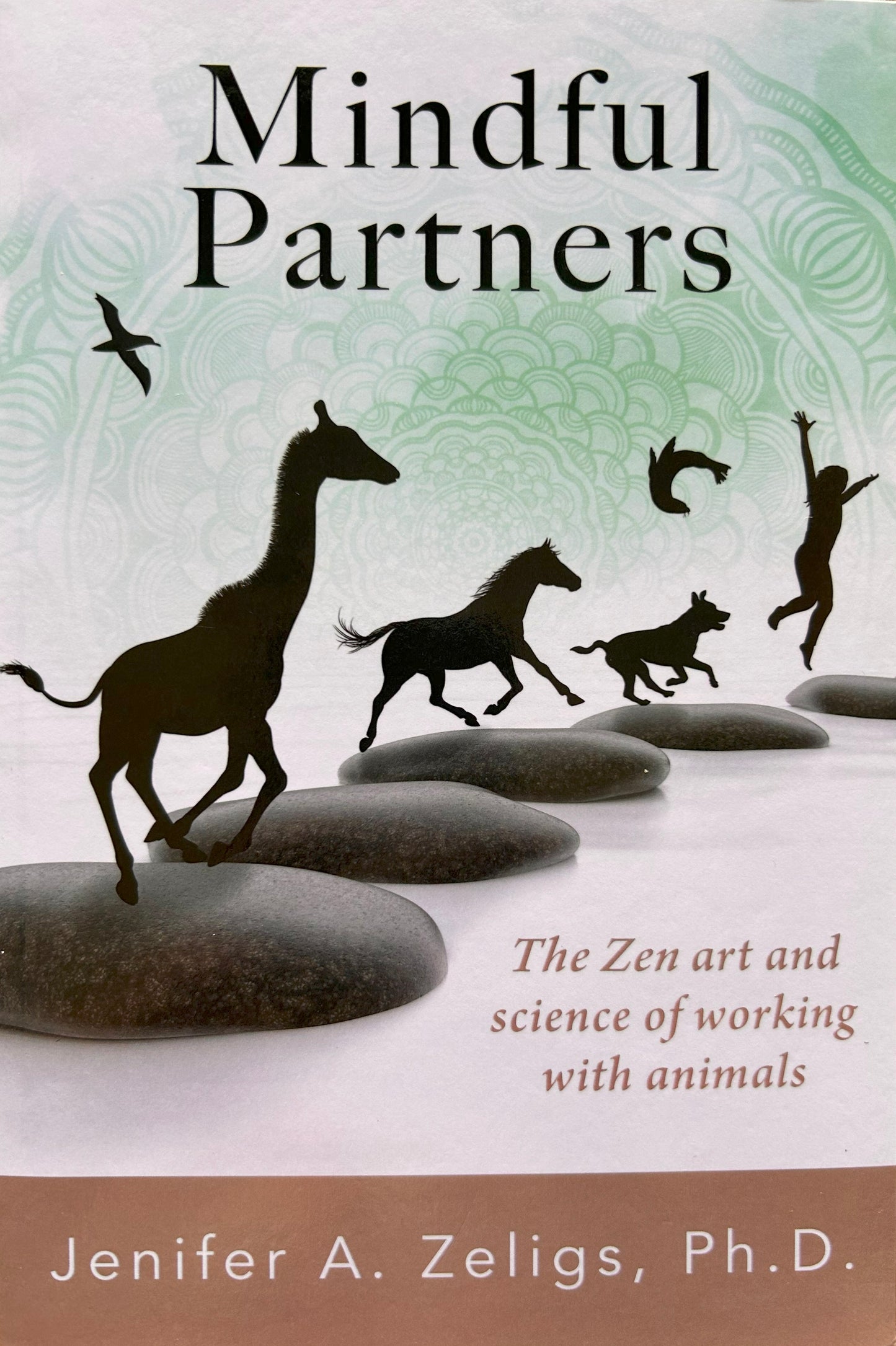 Book- Mindful Partners