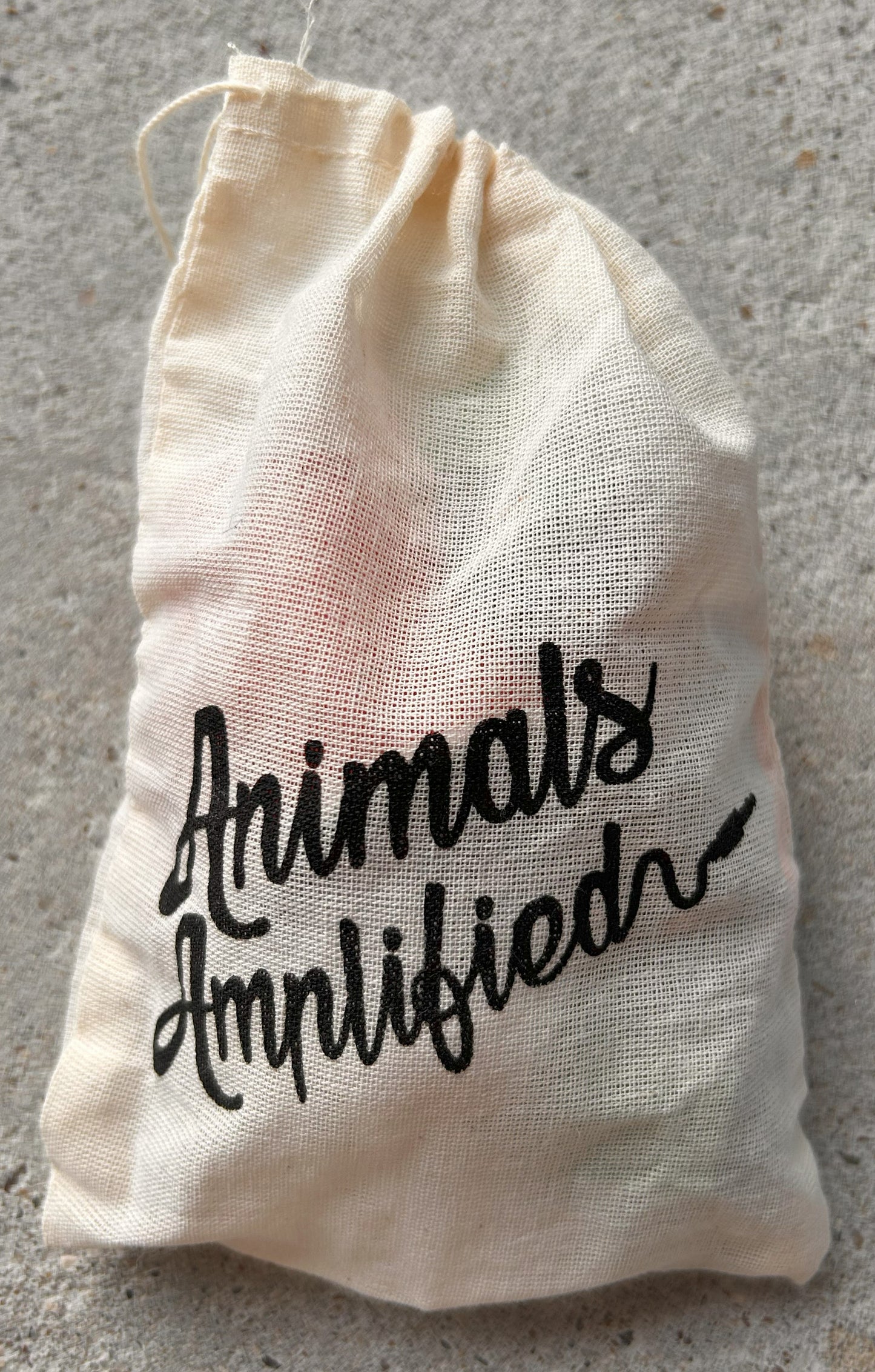 Animals Amplified Training Game