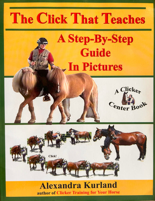 Book- The Click That Teaches