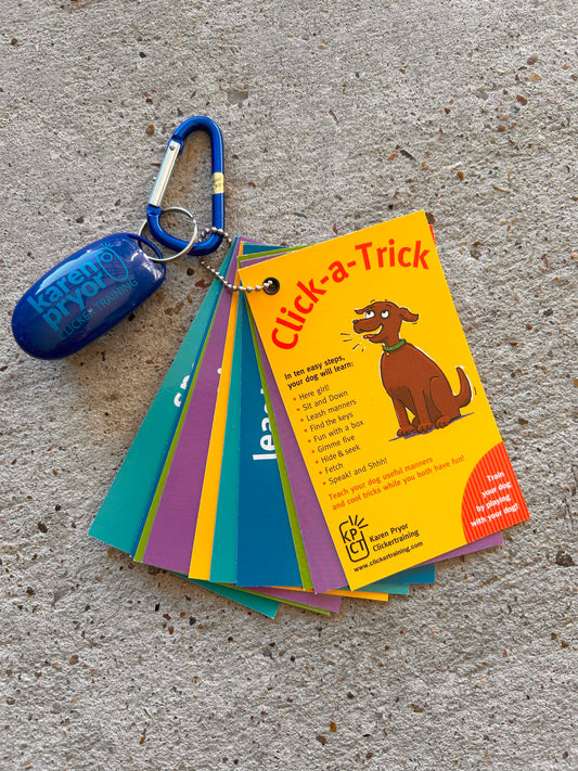 Click-A-Trick Cards